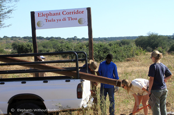We put up signs demarcating wildlife corridors in the township