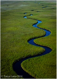 Okavango river