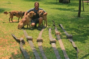 Dr. Mike Chase with retrieved elephant collars