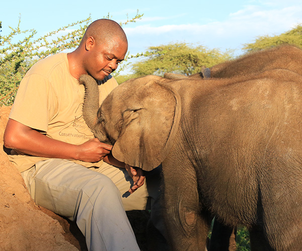 Elephant Caretakers Elephants Without Borders