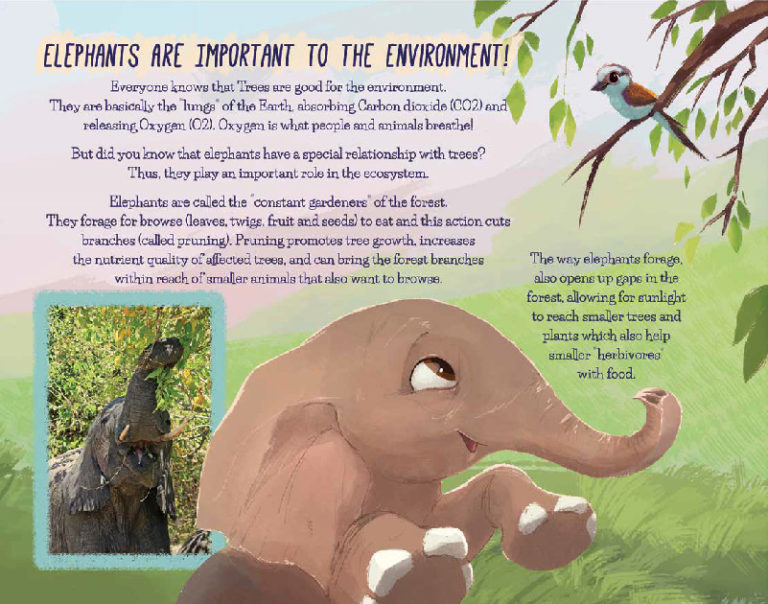 Children's Books Elephants Without Borders